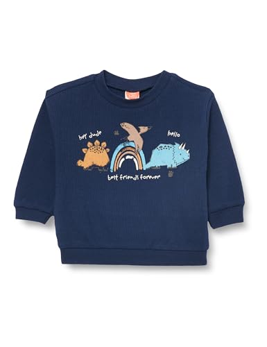 Koton Babyboy Sweatshirt Dinosaur Printed Long Sleeve Crew Neck Textured Cotton von Koton