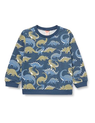 Koton Sweatshirt Long Sleeve Crew Neck Dinosaur Printed Brushed Interior von Koton