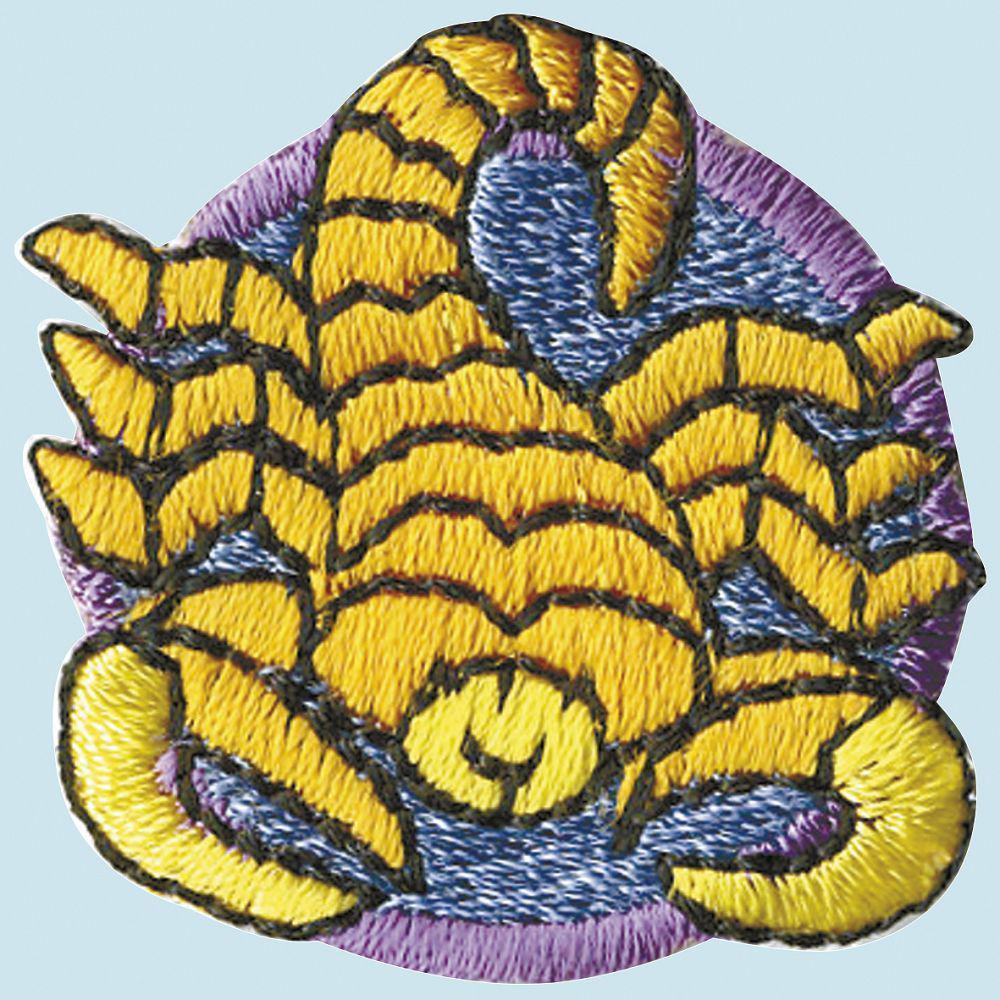 Aufnäher Signet Applikation Patch - Sternzeichen Scorpion Gr. Ca. 3 X cm 02130 von Kreativhaeuschen