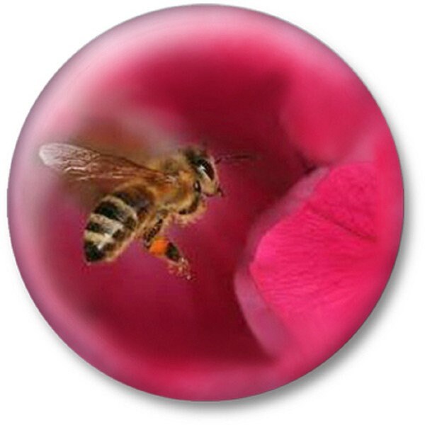 Button Anstecknadel Biene Blüte 16094 von Kreativhaeuschen