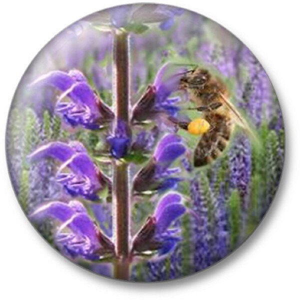 Button Anstecknadel Biene Salbei 16092 von Kreativhaeuschen