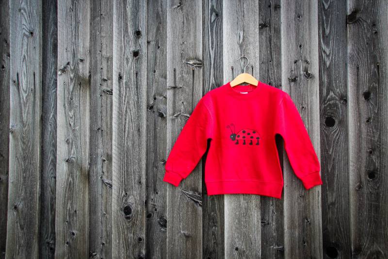 Kinder Sweatshirt "Marienkäfer" von Kreativplatzl