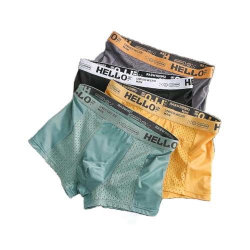 Kreeqe Tomboy Masc Studs Lesben Boxershorts Neutral Baumwolle Unterwäsche Nahtloses Mesh Cool, 4er-Pack, L von Kreeqe