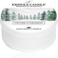 Kringle Candle Daylight Kringle Winter Evergreen Duftkerze von Kringle Candle