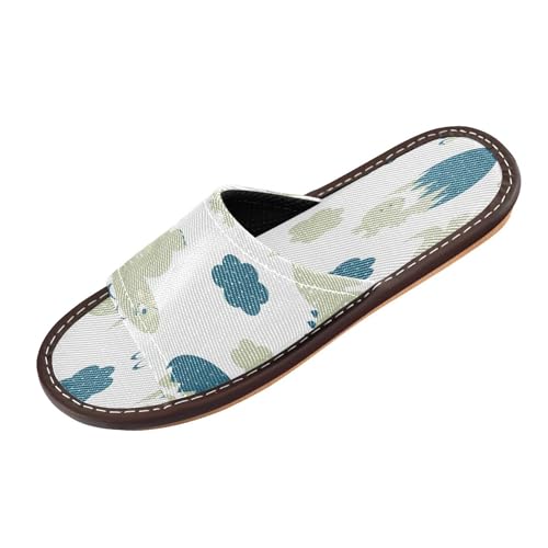Ksajwzf Süße Dinosaurier-Wolken-Hausschuhe für Damen und Herren, grau, Sommer, offene Zehenpartie, Reisehausschuhe, multi, 43.5/44 EU von Ksajwzf