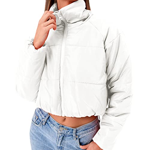 Kswlwccpp Leichte Steppjacke Damen: Leicht Winter Übergangsjacke Damen Jacke Sport Ohne Kapuze Glänzend Steppjacke Winterjacke Gesteppt Warm Packbar Kurz Puffer Jacke Daunenjacke von Kswlwccpp