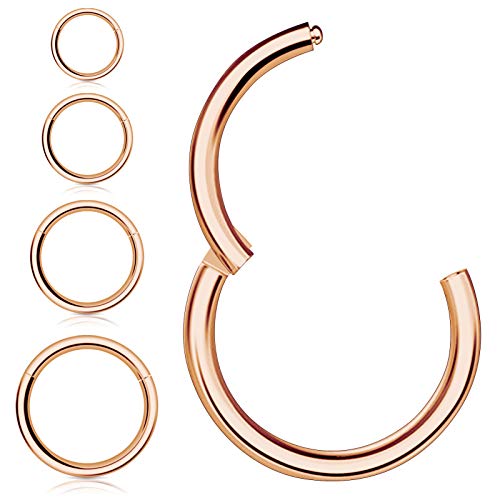 4 Stücke Nasenringe Creolen,Kucheed 316L Chirurgischer Stahl Klapp Clicker Segment Septum Ring Helix Knorpel Nase Lippenringe Body Piercing Schmuck,18G-16G 6/8/10/12mm Turm Ohrringe für Frauen Männer von Kucheed