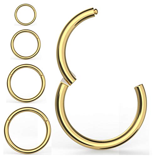 4 Stücke Nasenringe Creolen,Kucheed 316L Chirurgischer Stahl Klapp Clicker Segment Septum Ring Helix Knorpel Nase Lippenringe Body Piercing Schmuck,18G-16G 6/8/10/12mm Turm Ohrringe für Frauen Männer von Kucheed