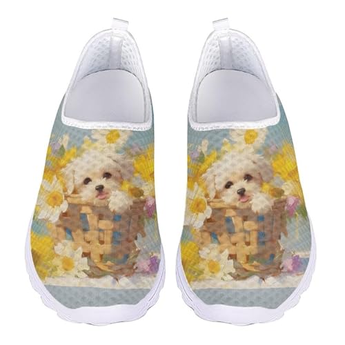 Kuiaobaty Leichte Damen-Sneaker, Wasserfarben, Tiere, bequem, Netzstoff, atmungsaktiv, Walking-Laufschuhe, Waschbär, 38 EU Kuiaobaty Leichte Damen-Sneaker, Wasserfarben, Tiere, bequem, Netzstoff, atmungsaktiv, Walking-Laufschuhe, Waschbär, 38 EU von Kuiaobaty