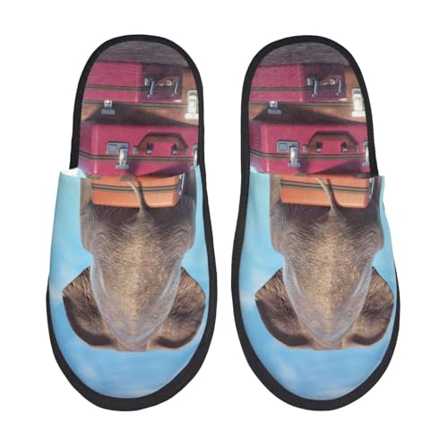 Kuilepa Hausschuhe für Damen, Motiv: Elefant, sitzend, flauschig, für drinnen und draußen von Kuilepa