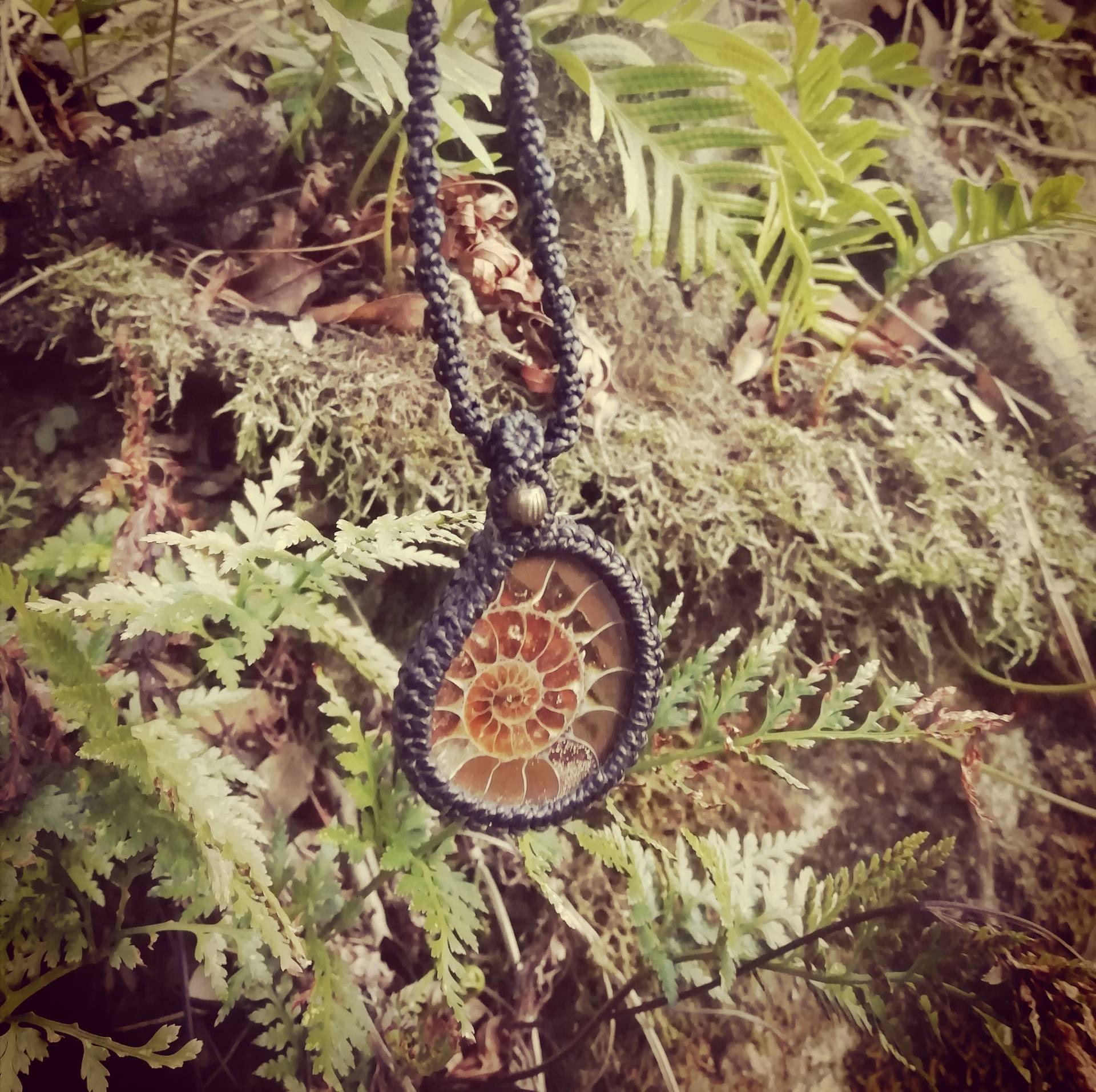 Makramee-Halsketten Mit Fossilien Und Natursteinen/Ammoniten-Halskette Orthocedras-Makramee-Halsketten Makramee-Halsketten Mit Fossilien Und Natursteinen/Ammoniten-Halskette Orthocedras-Makramee-Halsketten von KundalTribe