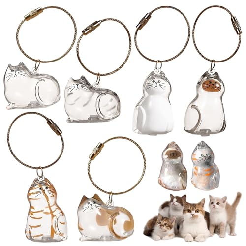 KutaKuta Schlüsselanhänger mit Katzenhaar, 6 Stück, transparent, Katzen-Schlüsselanhänger, einzigartiges Haustier-Gedenk-Katzen-Schlüsselanhänger, Haustierzubehör, Tierhaare, Andenken zum Sammeln von KutaKuta Schlüsselanhänger mit Katzenhaar, 6 Stück, transparent, Katzen-Schlüsselanhänger, einzigartiges Haustier-Gedenk-Katzen-Schlüsselanhänger, Haustierzubehör, Tierhaare, Andenken zum Sammeln von von KutaKuta