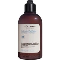 L'Occitane - Purifying Freshness Conditioner 250ml L'Occitane - Purifying Freshness Conditioner 250ml von L'Occitane