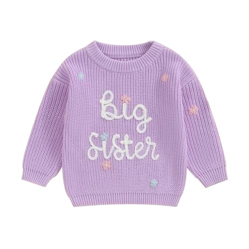 L&ieserram Baby Mädchen Gestrickt Pullover Jumper Neugeborenen Kinder Langarm Strickpullover Pulli Kleinkinder Kleidung Outfit Knitted Sweater (A Big Sister - Lila, 2-3 Jahre) von L&ieserram