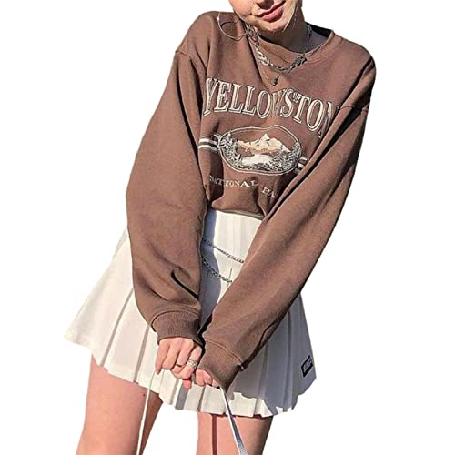 L&ieserram Damen Sweatshirt ohne Kapuze Lang Oversized Vintage Pullover Langarm Retro Lockerer Langarmshirt 90er Y2K Fashion Aesthetic E-Girl Teenager Mädchen Herbst Winter Pulli (D Braun, L) von L&ieserram