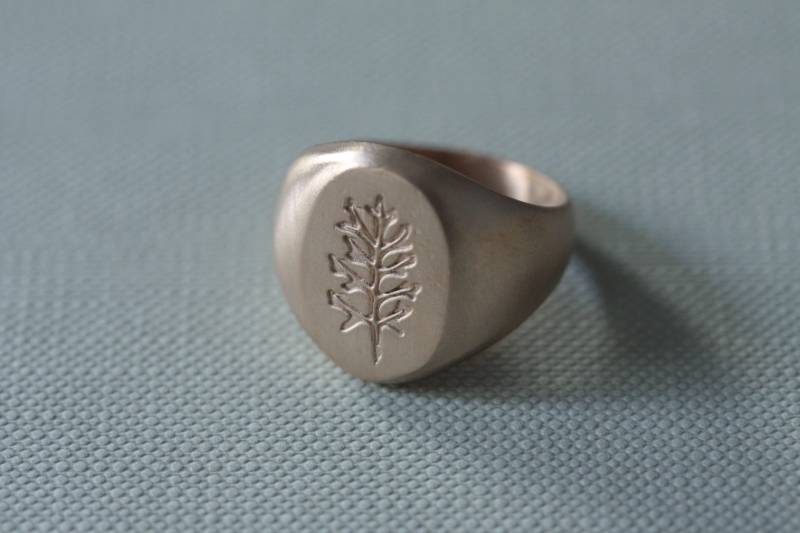 Chevalier Herbarium - Senecio Maritima von LABCORSOSANGOTTARDO3