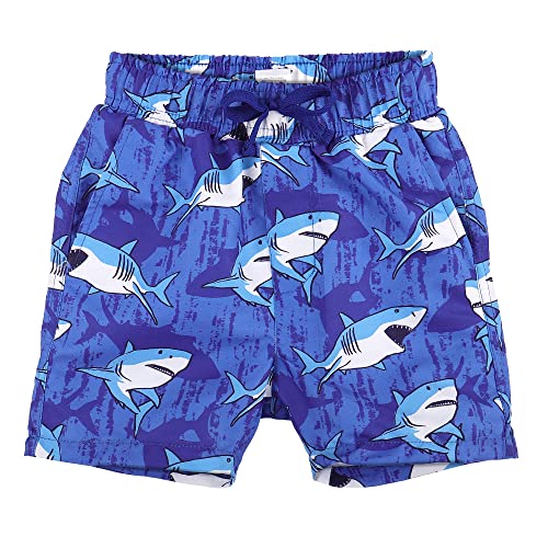 LACOFIA Kinder Badeshorts Jungen Casual Elastische Taille Badehose Kleinkind Strand Schwimmen Shorts Blauer Hai 10-12 Jahre 140/152 von LACOFIA