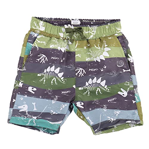 LACOFIA Kinder Badeshorts Jungen Casual Elastische Taille Badehose Kleinkind Strand Schwimmen Shorts Dinosaurier 10-12 Jahre 140/152 von LACOFIA