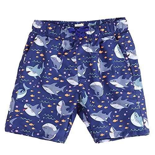 LACOFIA Kinder Badeshorts Jungen Casual Elastische Taille Badehose Kleinkind Strand Schwimmen Shorts Grauer Hai 10-12 Jahre 140/152 von LACOFIA