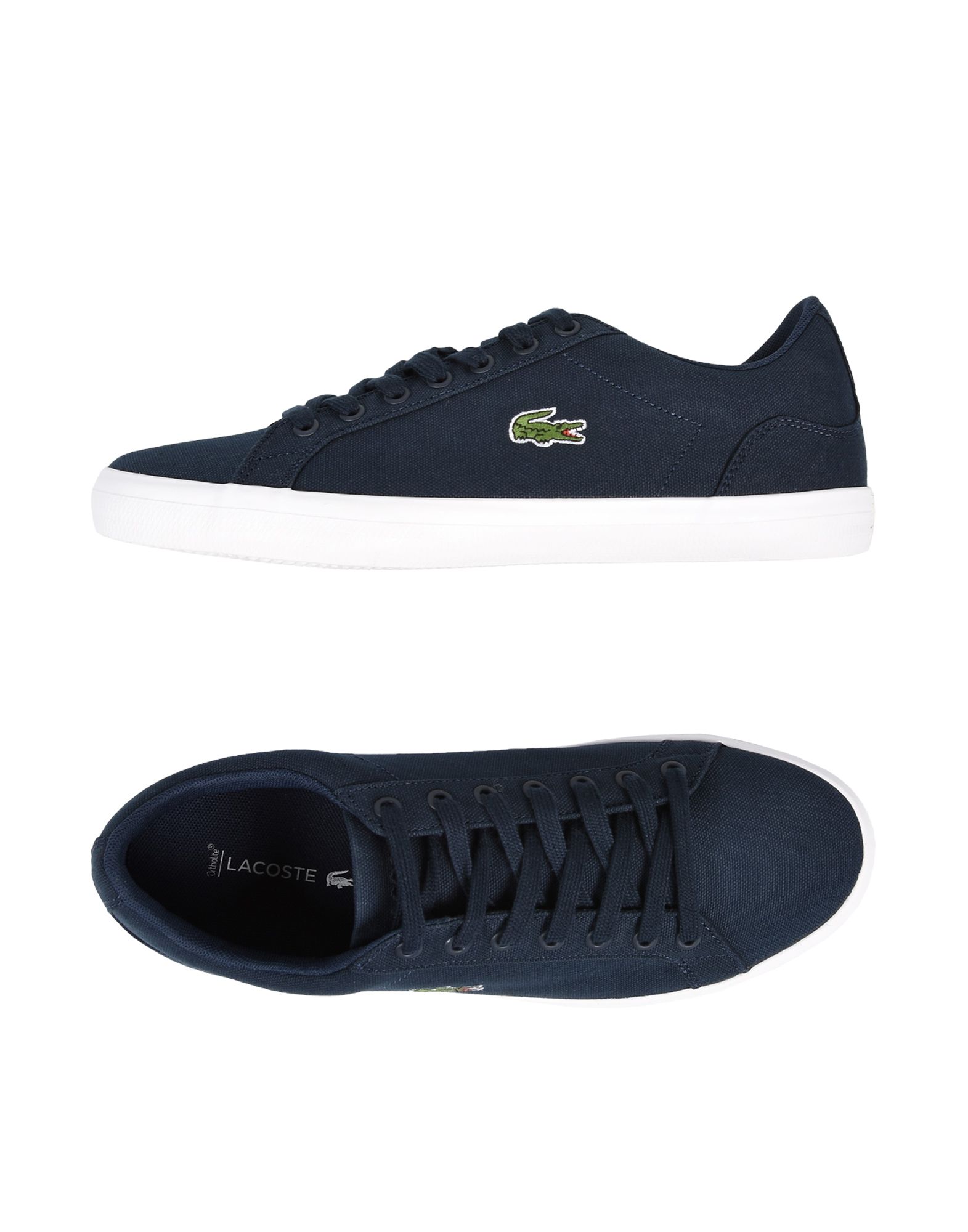 LACOSTE Sneakers Herren Nachtblau von LACOSTE