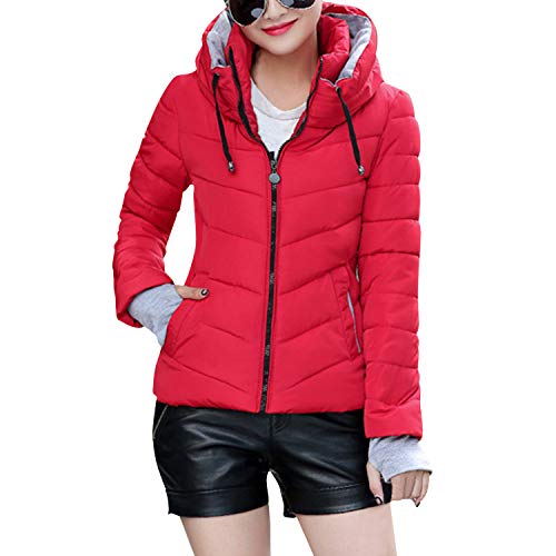 LAEMILIA Damen Steppjacke Winter Jacke Gefüttert, Warm Winterjacke Tailliert Kurz Outwear mit Doppelter Stehkragen Übergangsjacke von LAEMILIA