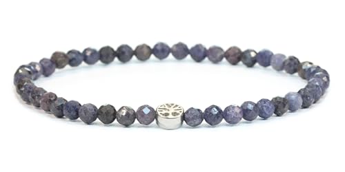 LAKADA Echtes Saphir Edelstein Armband mit facettierten 4mm Perlen und Edelstahllebensbaum Heilstein Schutzstein Edelsteinarmband Glücksbringer Talisman Geschenk (Saphir, S., 21CM) von LAKADA
