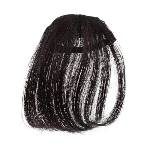 LALADEFIEE 2 Stück Feines Haar Damen Haarspangen Dunkelbraun Perücke Clip in Extensions Hitzebeständige Faser Natürliche Gefälschte Stücke von LALADEFIEE