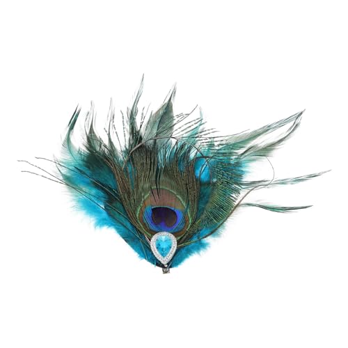 LALADEFIEE Farbige Pfauenfeder Haarspange mit Strass Vintage Barrette Seitlicher Clip Fester Sitz Leichtes Material für Damen Hochzeit Party Auftritte Exotische Haarschmuck von LALADEFIEE