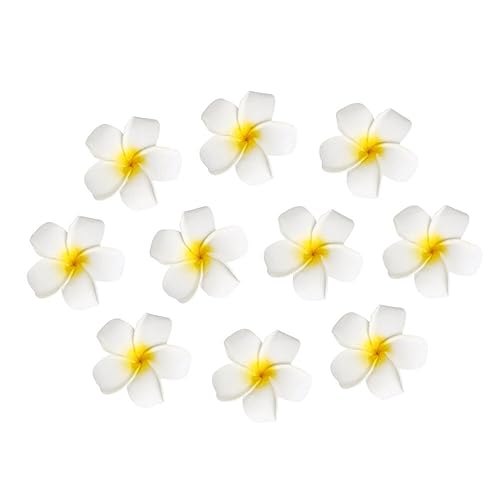 LALAFINA 10St Blumenhaarspangen für Plumeria hawaii flower hair clips hawaiian flower hair clip Haarschmuck für Damen Haarspangen für Damen Zubehör Weiß von LALAFINA