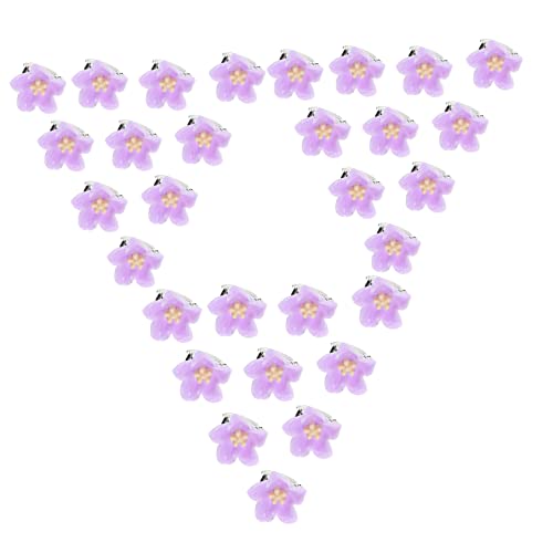 LALAFINA 30st Kleine Blumenhaarnadel Klauenclips Für Dickes Haar Mini-haarspangen Süße Kleine Clips Haarklammern Für Mädchen Mini-blumenklauen-clips Metall Violett Die Blumen Kind Schmücken von LALAFINA