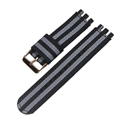 LANAPPTLTG 17MM19MM20mm Leinwand Nylon Armband Fit for SWATCH Uhr Gürtel Strap Frauen Männer Uhr Zubehör Refit Armband Armband Ersatz(25-RG,20mm) von LANAPPTLTG