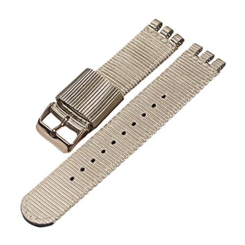 LANAPPTLTG 17MM19MM20mm Leinwand Nylon Armband Fit for SWATCH Uhr Gürtel Strap Frauen Männer Uhr Zubehör Refit Armband Armband Ersatz(8-RG,19mm) von LANAPPTLTG