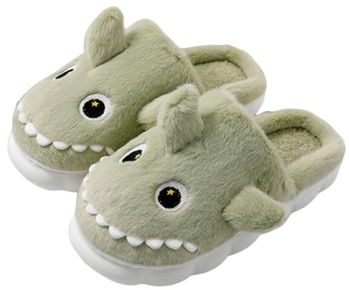 LANFIRE Tierschuhe für Frauen Dinosaurier Hausschuhe Weiche warme Winterschuhe Home Plüsch Baumwolle Hausschuhe (Green, Erwachsene, Damen, 40, Numerisch (von/bis), EU Schuhgrößensystem, 41, M) von LANFIRE