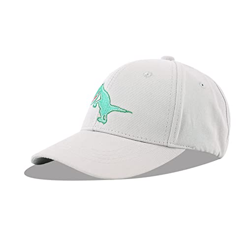 LANGZHEN Baumwolle Baseball Cap für Säugling Baby Jungen Mädchen Kleinkind Kinder Outdoor Einstellbare Nette Tier Hut (M-Dinosaurier, Grau) von LANGZHEN