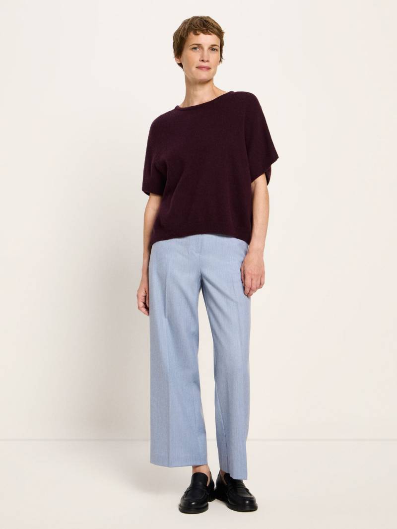 LANIUS DE von LANIUS