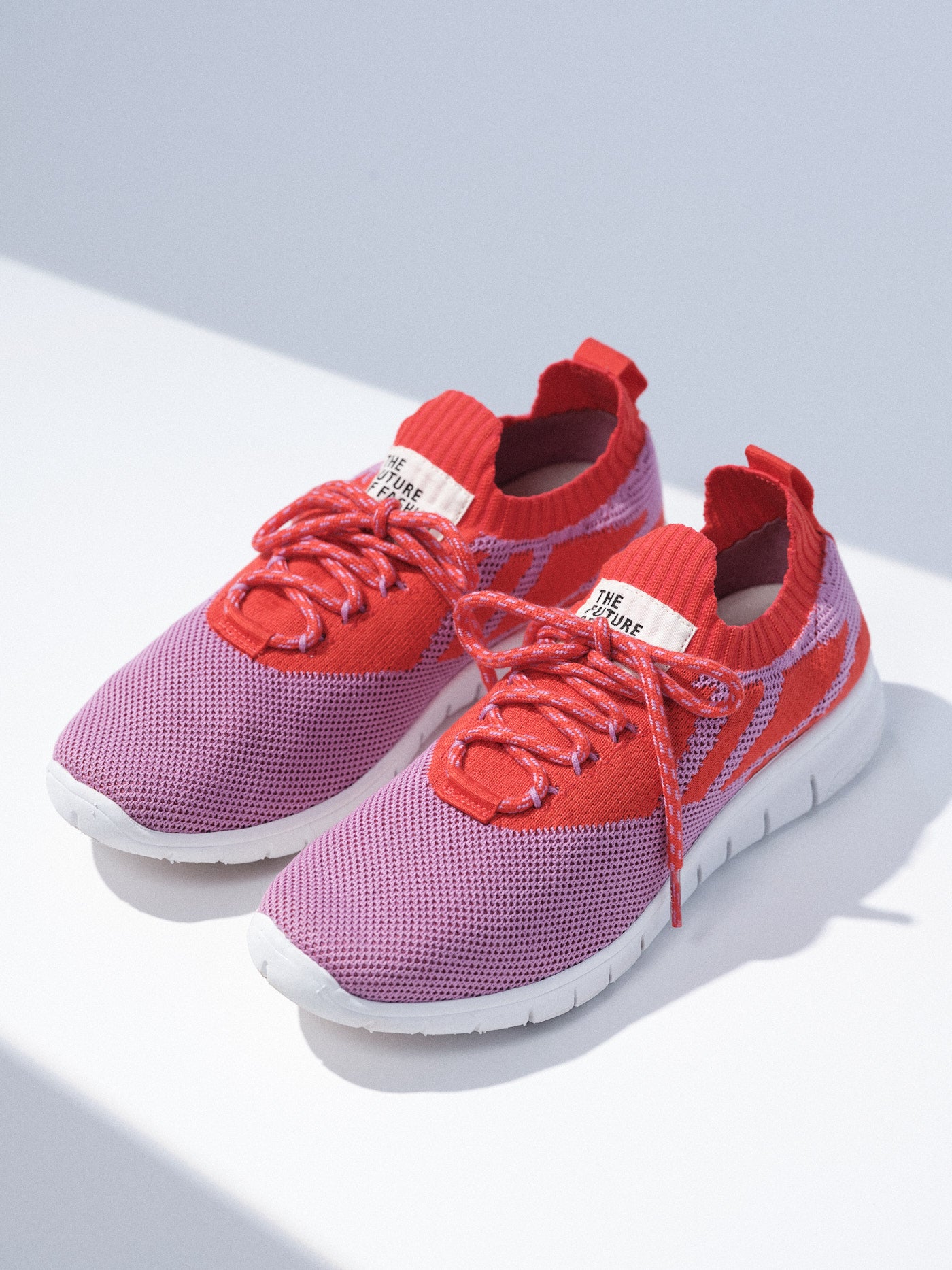 LANIUS DE von LANIUS