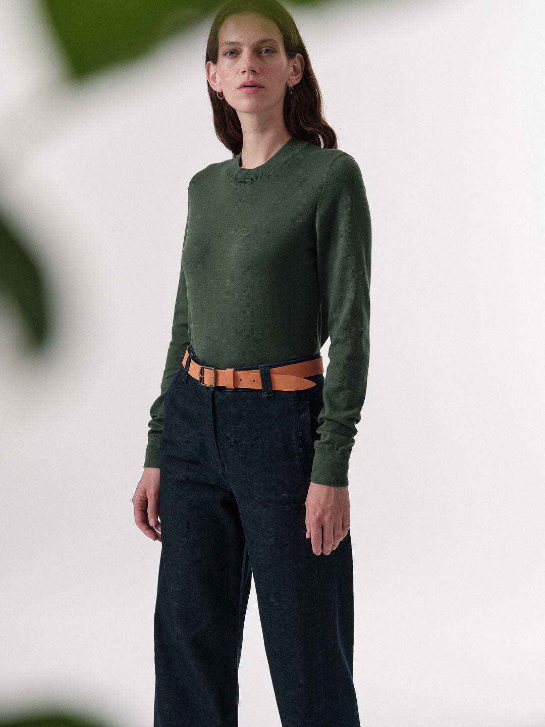 LANIUS DE von LANIUS