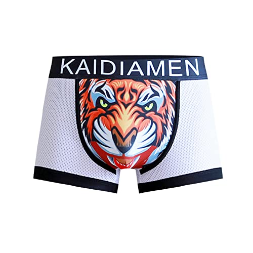 LANSKIRT Herren-Boxershorts, 2023, Sommer, Eis, Seide, Netz, Unterwäsche, atmungsaktiv, bequem, koreanischer Stil, modisch, Herren, Boxershorts, lange Boxershorts, Supreme,, Mehrfarbig, Boxershorts, von LANSKIRT