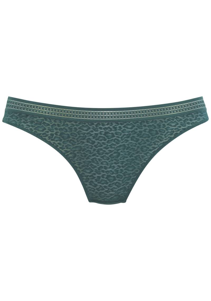 LASCANA - LASCANA thong full lace fir green - Gr. - 36/38 von LASCANA