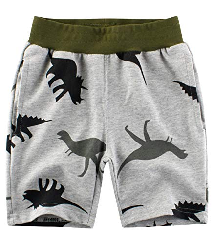 LAUSONS Jungen Sommershorts Baumwolle Kurze Hose Elastikbund Shorts mit Dinosaurier-Druck Grau 98 von LAUSONS