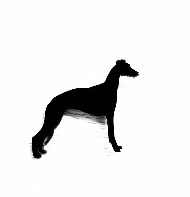 Whippet Hund Brosche Abzeichen Pin Schal Verschluss in Schwarz Whippet Hund Brosche Abzeichen Pin Schal Verschluss in Schwarz von LAtelierLaserProduct