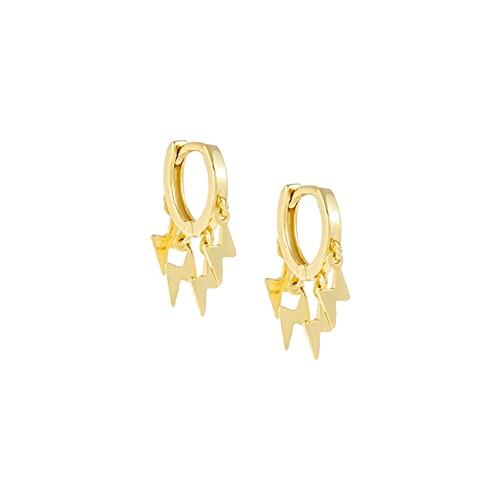 Zirkon -Hoop -Ohrringe Kreis rund Ohrringe für Frauen Ohren von LBRTMED