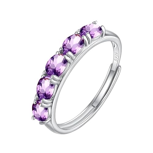 LCDIUDIU Ring Silber 925 Damen,Natürlicher Edelstein Halb Ewigkeitsring für Frauen Silber Geburtsstein Zirkonia Band Verstellbar Jahrestag Hochzeit Verlobungsring für Sie Geschenk Amethyst von LCDIUDIU