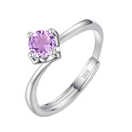 LCDIUDIU Silber Ringe 925 Frauen,5 Mm 6 Mm Brillantschliff Solitär Edelstein Verlobungsringe für Frauen Silber Infinity Band Verstellbar Jubiläumsversprechen Ehering Amethyst 5 Mm von LCDIUDIU