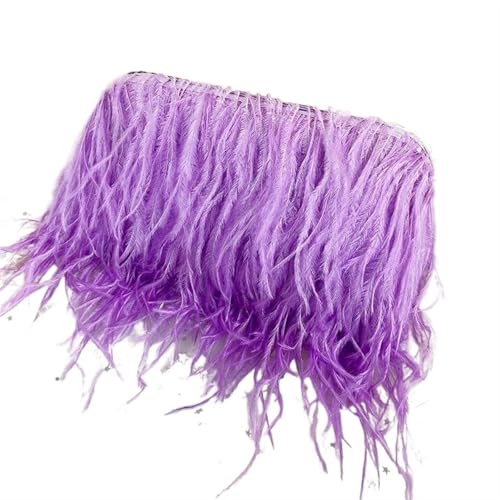 LCKKJHG clutch mit federn Feder Abendtaschen for Frauen Kette Schulter Umhängetasche Quaste Party Clutch Geldbörse Hochzeit Handtaschen(Purple) von LCKKJHG