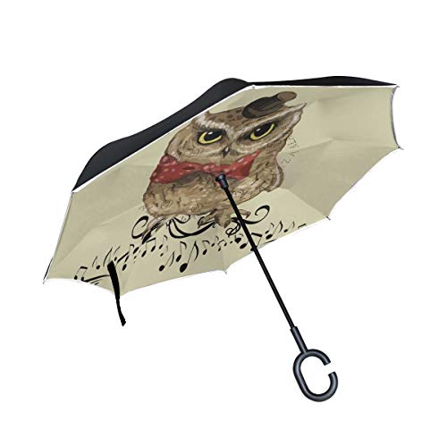 LDIYEU Eule Vogel Kunst Malerei Invertierter Regenschirm UV-Schutz Winddichter Umbrella Invertiert Schirm Kompakt Umkehren Schirme für Auto Jungen Mädchen Reise Strand Frauen von LDIYEU