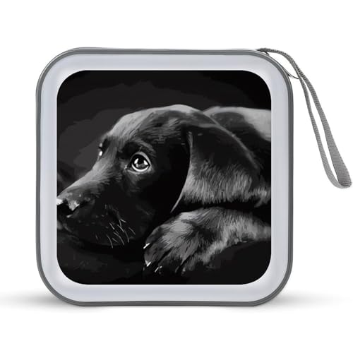 LDTVSFZQ CD-Hülle, DVD-Hüllen, Brieftasche, Hartplastik, für Auto, Zuhause, Büro, Reisen, Stil:, Einheitsgröße von LDTVSFZQ