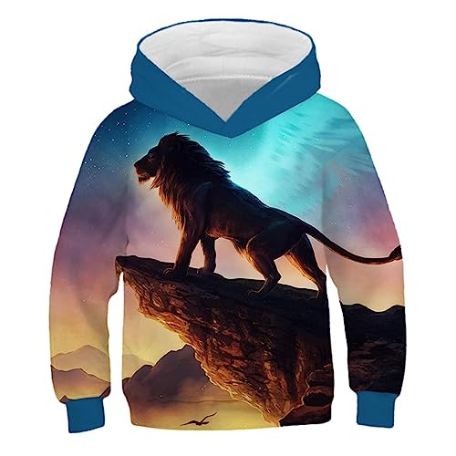 LDWAY 3D Print Kinder-Kostüm, Kinder-Kapuzenpullover Casual Tops Unisex Pullover Hooded Sweatshirts für Filmfans Videofans (D,140) von LDWAY