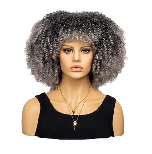 Mode Afro Locken Perücke Synthetisch Kurz Voll Perücke Frauen Perücke Für Täglichen Gebrauch, Party und Cosplay (Gradual Silber Grau) von LEEMASING