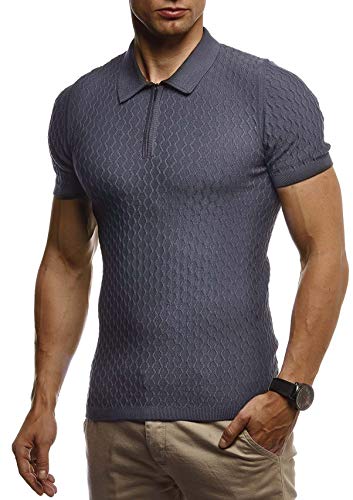 Leif Nelson Sommer Poloshirt Kurzarm Herren T-Shirt Kragen (Grau, Größe XL) - Casual Männer Poloshirts lang Feinstrick - Polo Shirt for Men Tshirt von Leif Nelson